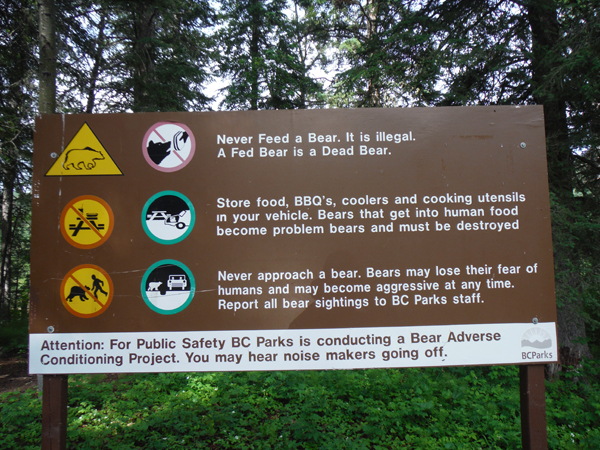 sign: do not feed a bear
